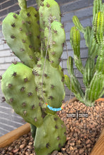 Load image into Gallery viewer, Vaquera Necklace
