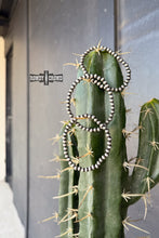 Load image into Gallery viewer, Rancho Pearl Bracelets