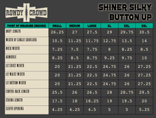 Load image into Gallery viewer, Shiner Silky Button Up